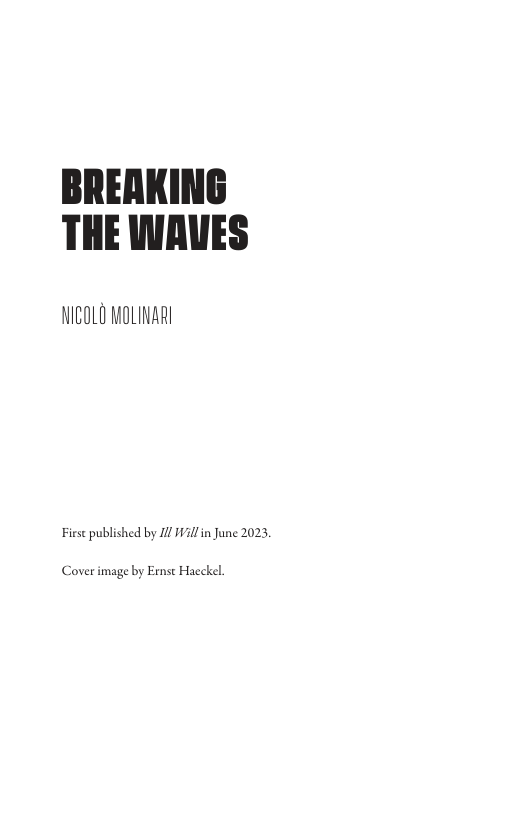 BREAKING THE WAUES NICOLO MOLINARI
